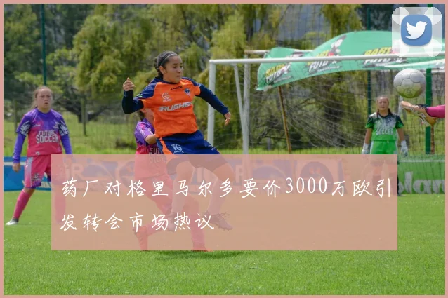 药厂对格里马尔多要价3000万欧引发转会市场热议
