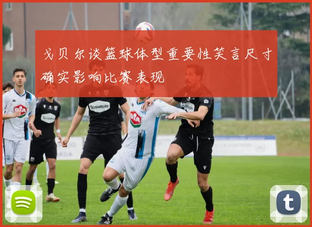 戈贝尔谈篮球体型重要性笑言尺寸确实影响比赛表现