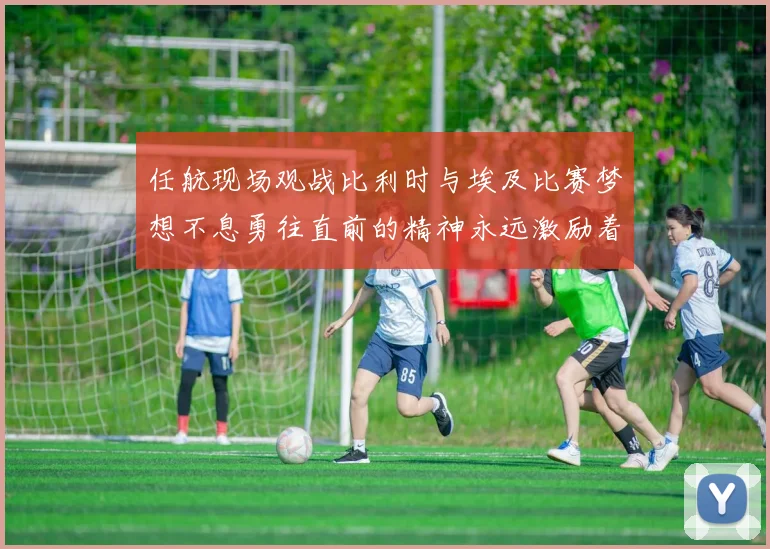 任航现场观战比利时与埃及比赛梦想不息勇往直前的精神永远激励着我们