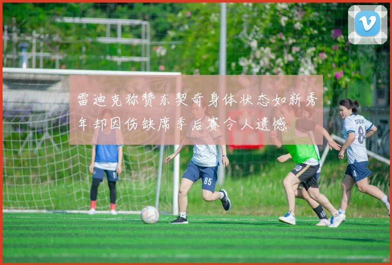 雷迪克称赞东契奇身体状态如新秀年却因伤缺席季后赛令人遗憾